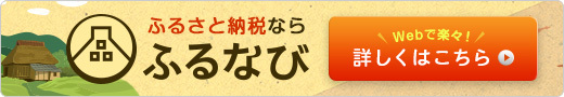 furunavi_banner520x90-A.jpg