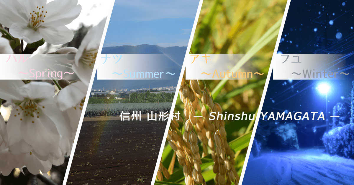 山形村ふるさと納税サイト