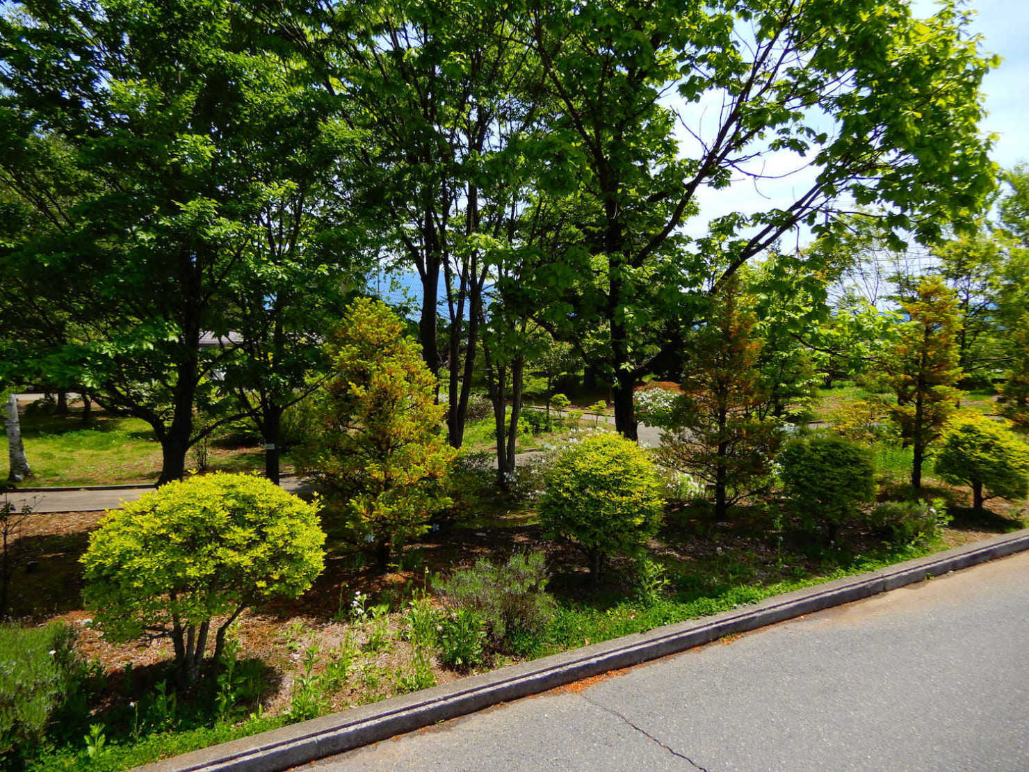 松本市山形村朝日村中学校組合鉢盛中学校