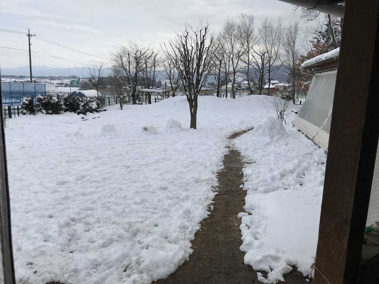 やまのこ保育園