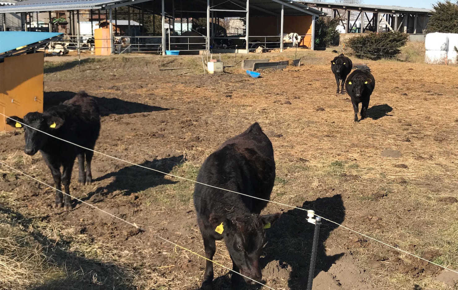 山形村に住む移住者7