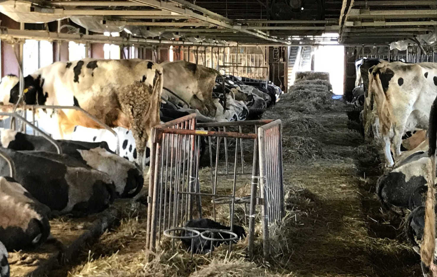 山形村に住む移住者5