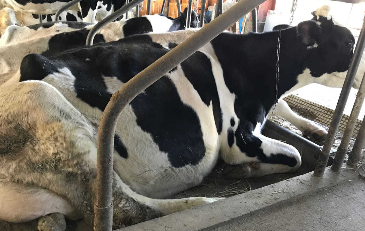 山形村に住む移住者8