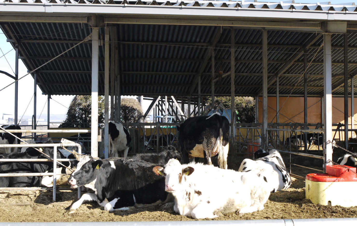 山形村に住む移住者9