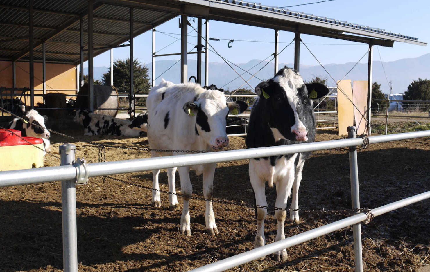 山形村に住む移住者4