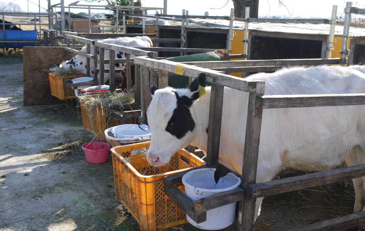 山形村に住む移住者3