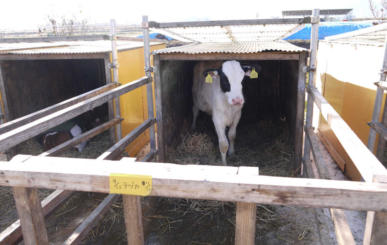 山形村に住む移住者10