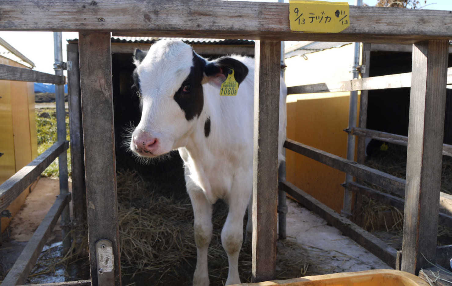山形村に住む移住者11