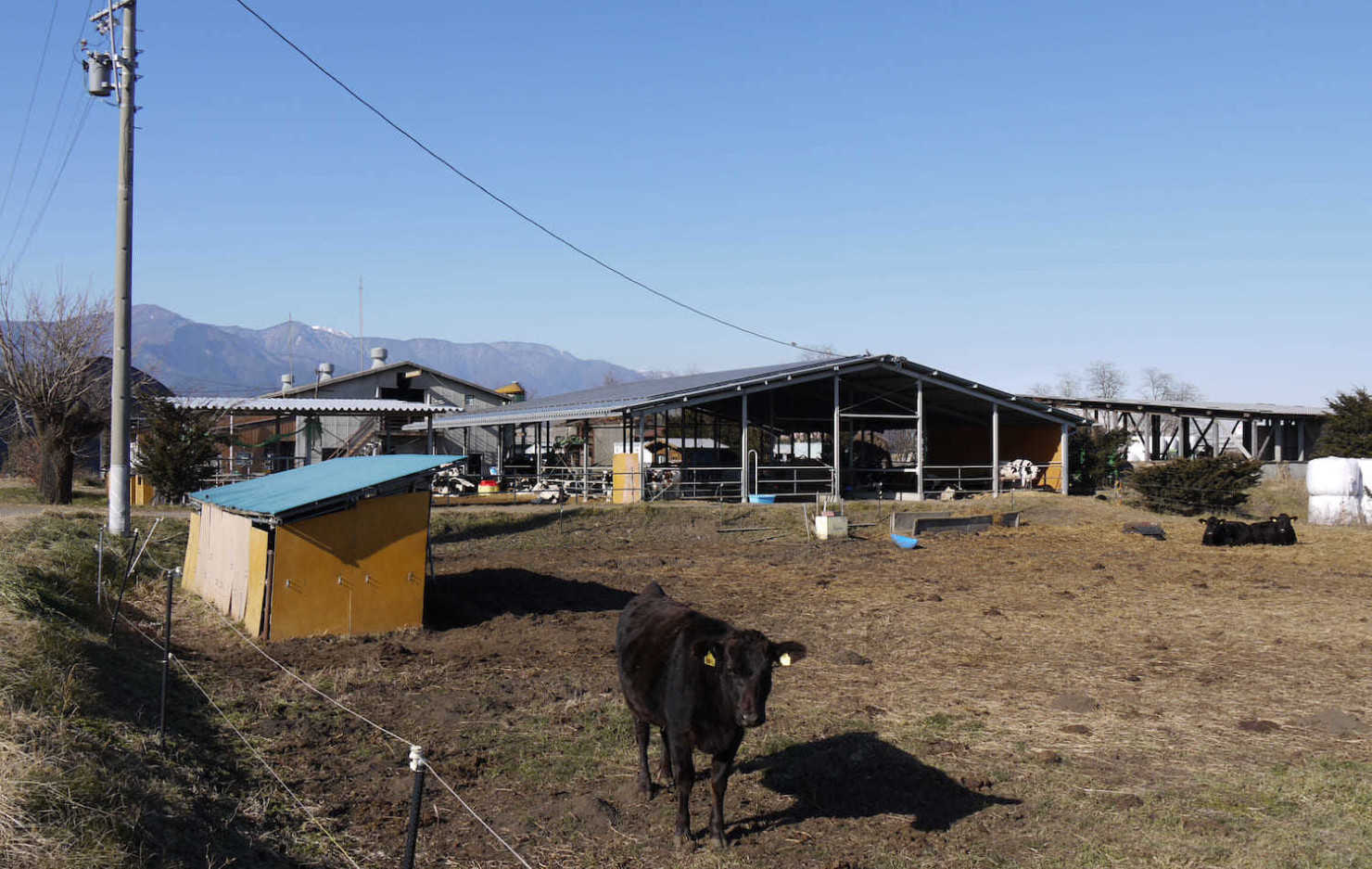 山形村に住む移住者2