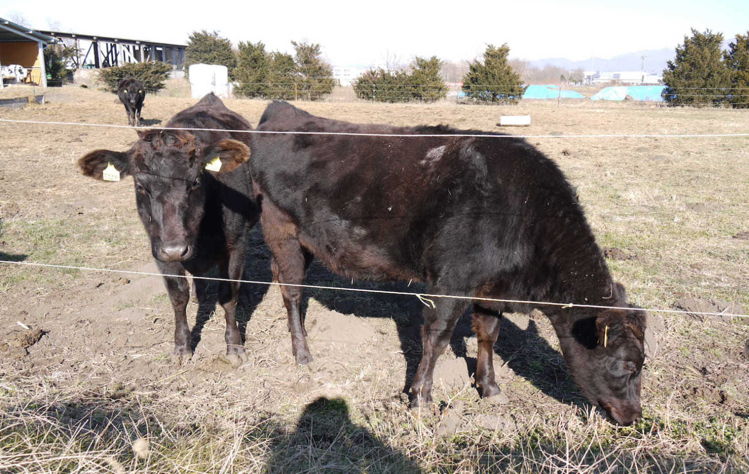 山形村に住む移住者12