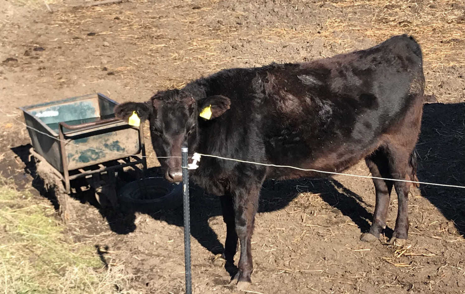 山形村に住む移住者13