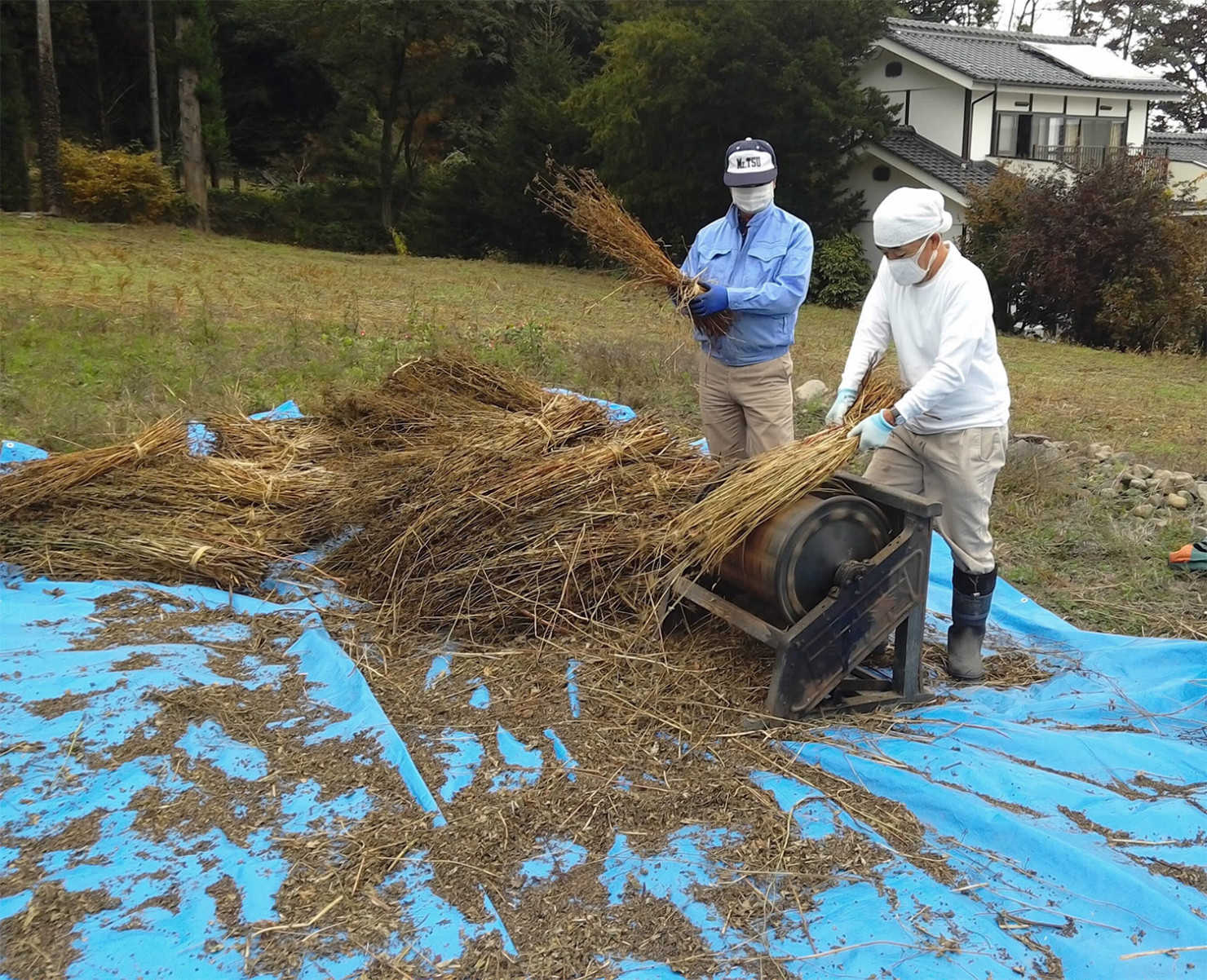 山形村に住む移住者_スローライフ8