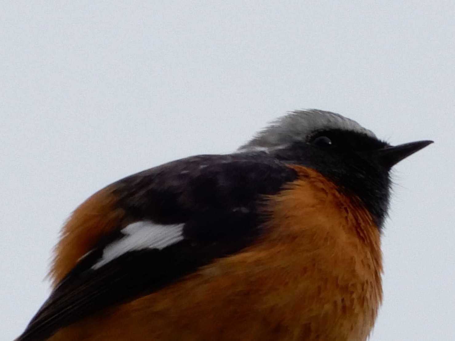 山形村村営なろう原公園4