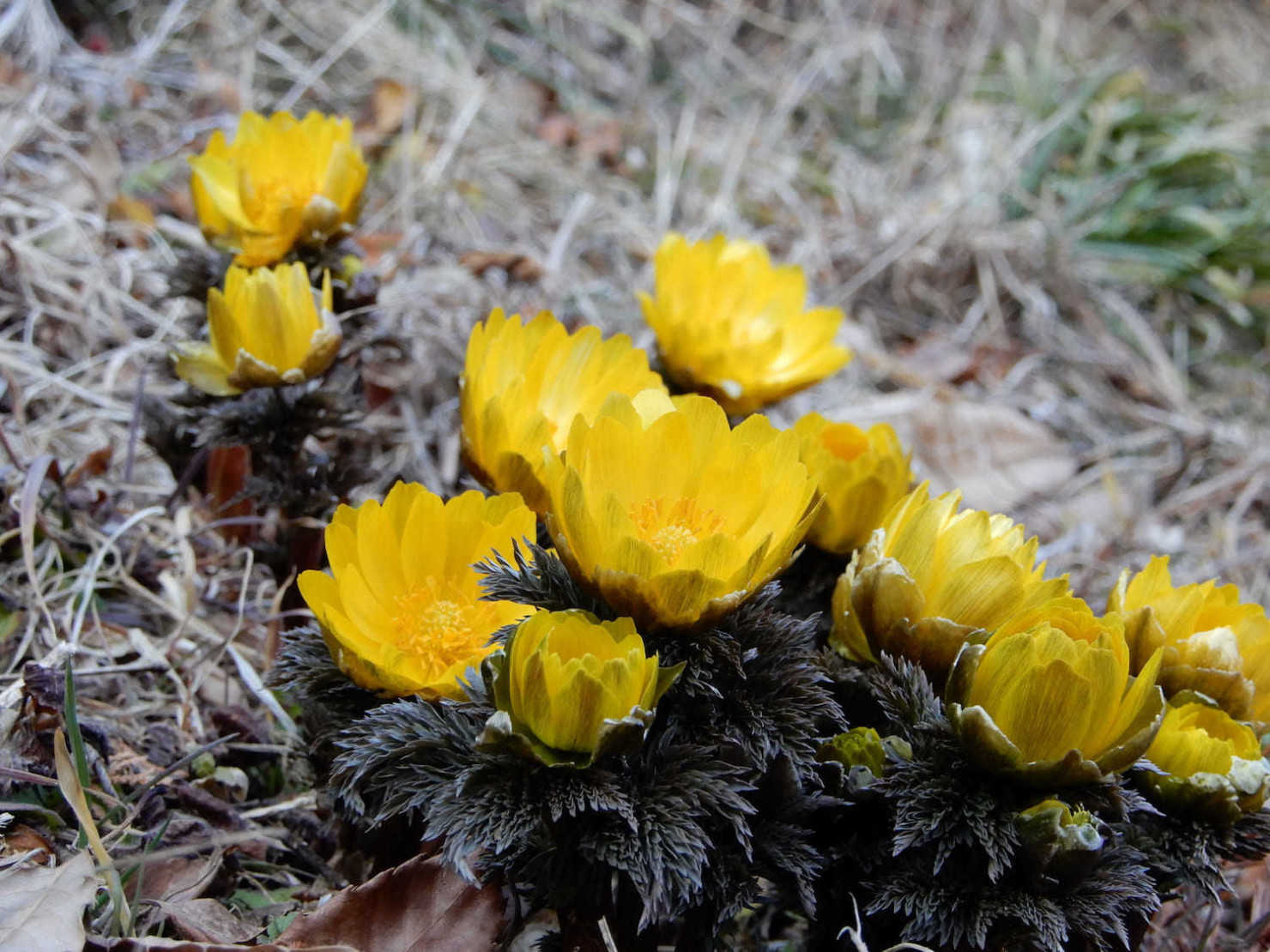 山形村鷹の窪公園4