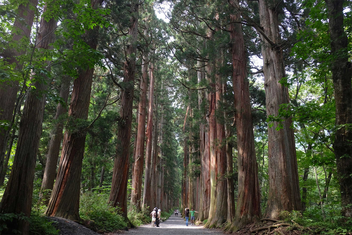 山形村の近隣観光地_戸隠