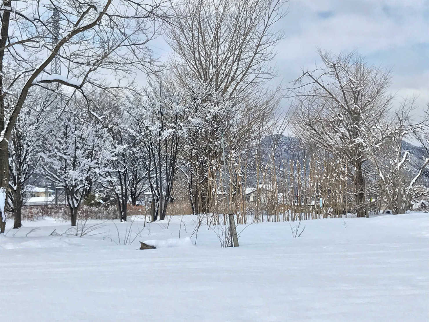 山形村の雪景色