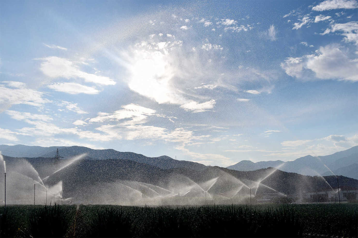 山形村のスプリンクラー