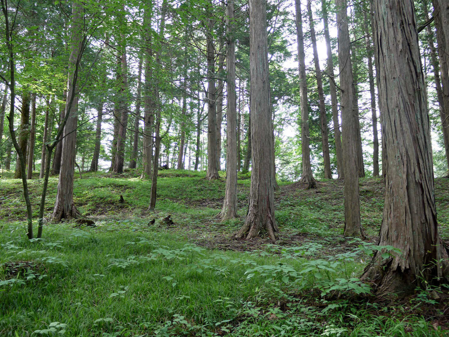 山形村_慈眼山清水寺4