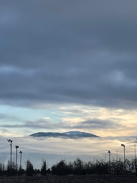 役場から見える風景