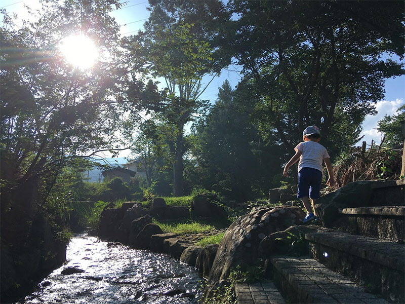 四季風景・夏部門3位