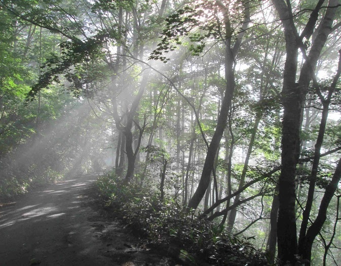 風景部門4位