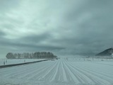 雪景色