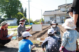 じゃがいもさつまいも体験 (4).jpg