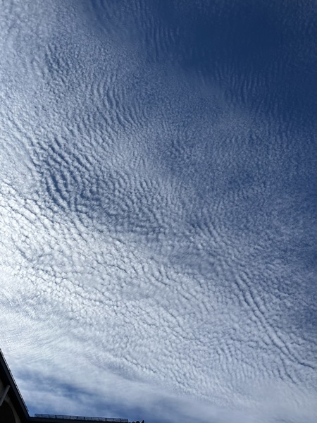 秋の空とうろこ雲