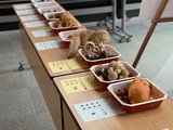 きのこの展示