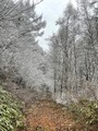 山形村の冬景色