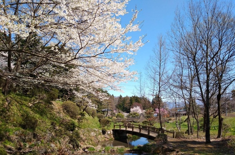 鷹の窪公園