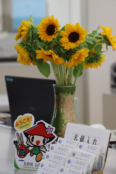「ひまわり」