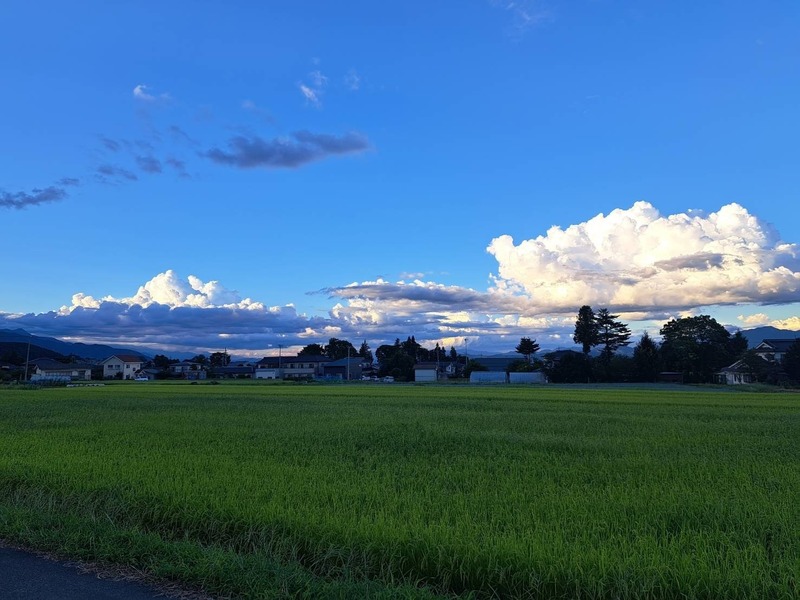 散歩途中の景色