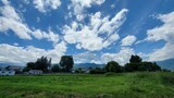 暑い一日