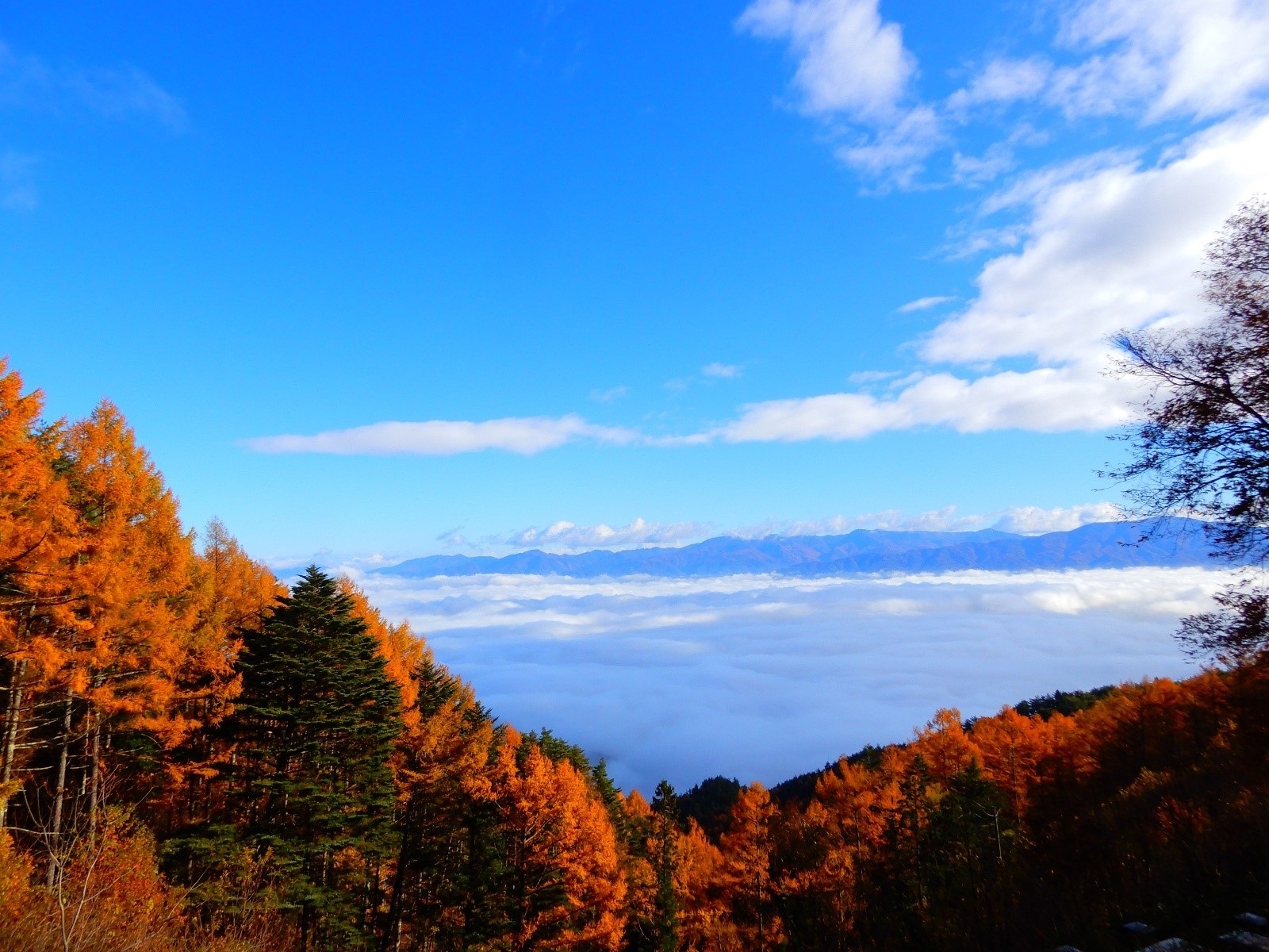 清水高原.jpg