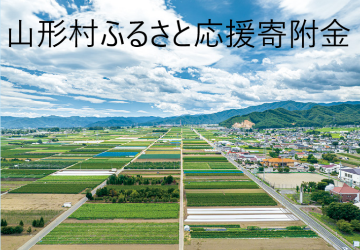 役場付近空撮.png
