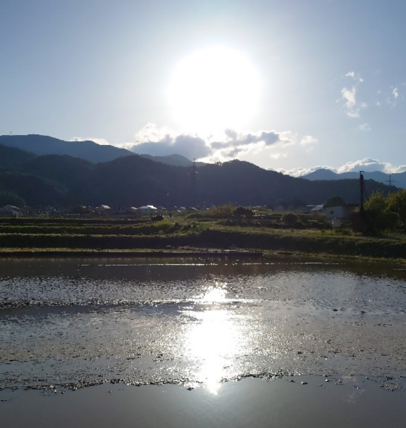 通学路の風景