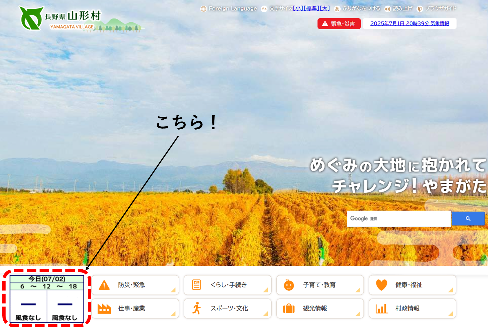 image (12).png