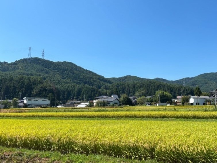 新米の季節