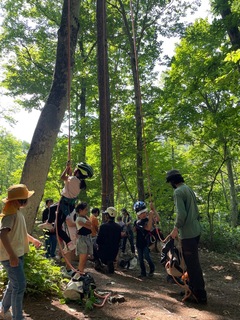 photo_20250724-184458 (1).jpg