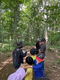 photo_20250724-184458_2 (1).jpg