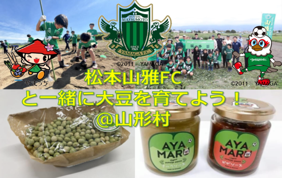 HP用.png