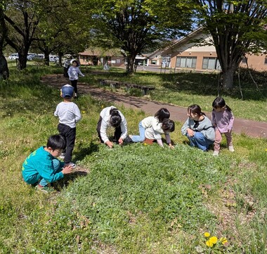 cleanedよもぎ摘みPXL_20260425_003551951.jpg