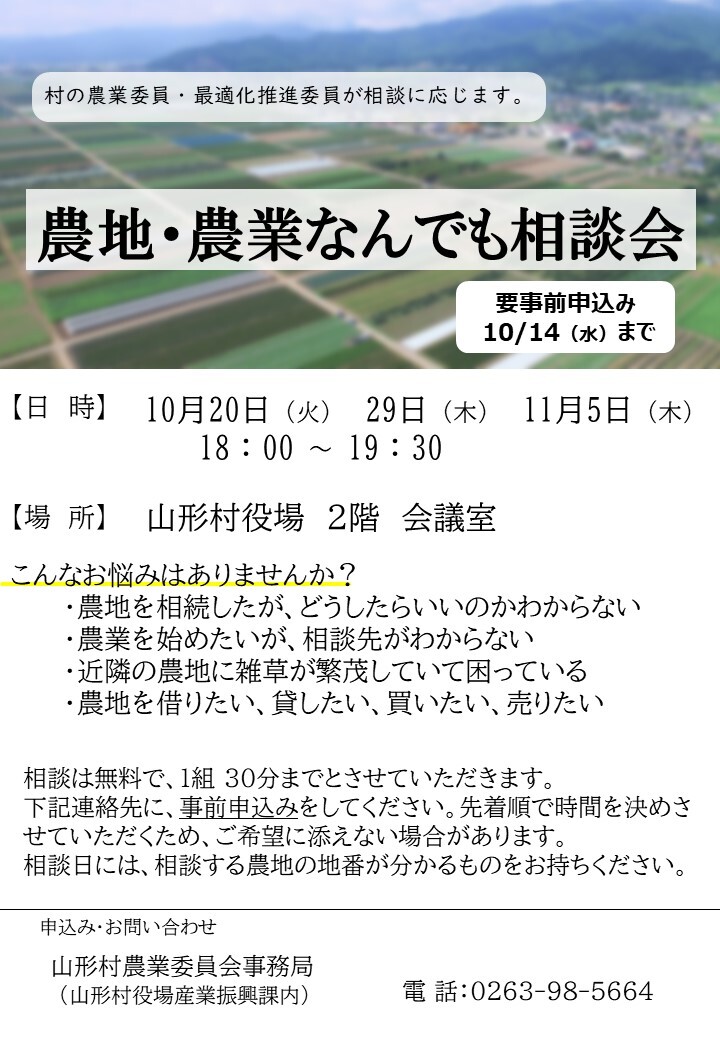 チラシ.jpg