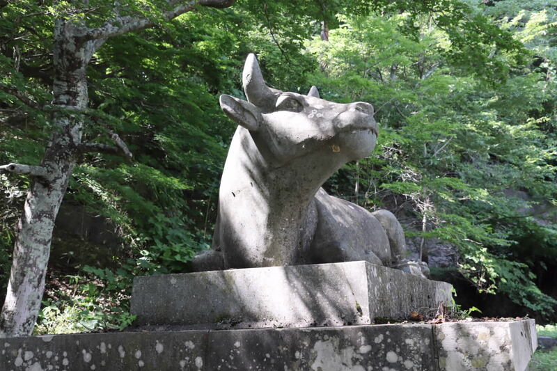 鷹の窪自然公園の牛