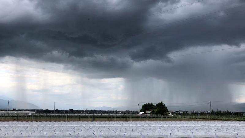 雨