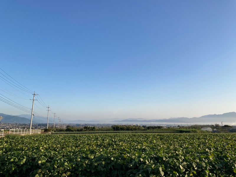 横出ケ崎から