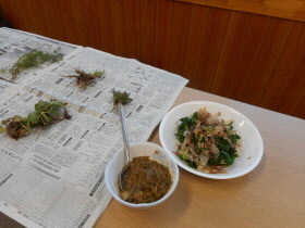野草